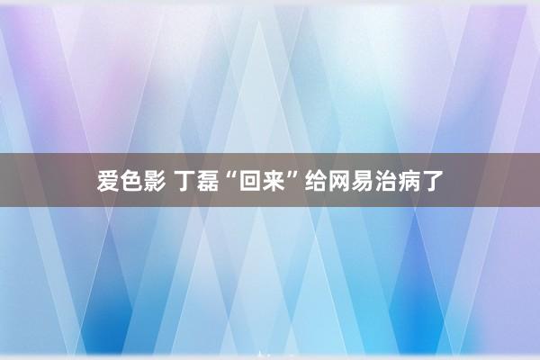 爱色影 丁磊“回来”给网易治病了
