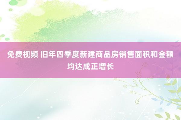 免费视频 旧年四季度新建商品房销售面积和金额均达成正增长