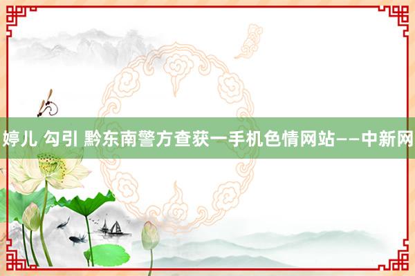 婷儿 勾引 黔东南警方查获一手机色情网站——中新网
