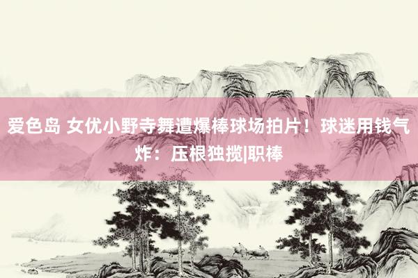爱色岛 女优小野寺舞遭爆棒球场拍片！球迷用钱气炸：压根独揽|职棒