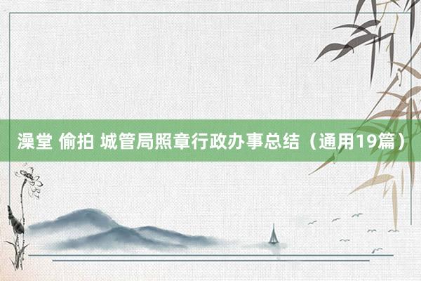 澡堂 偷拍 城管局照章行政办事总结（通用19篇）