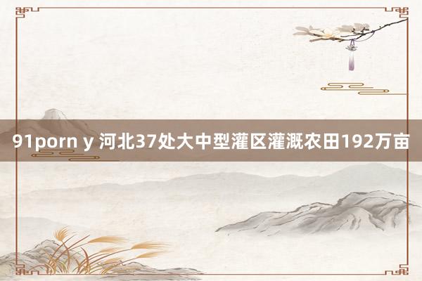 91porn y 河北37处大中型灌区灌溉农田192万亩