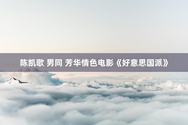 陈凯歌 男同 芳华情色电影《好意思国派》