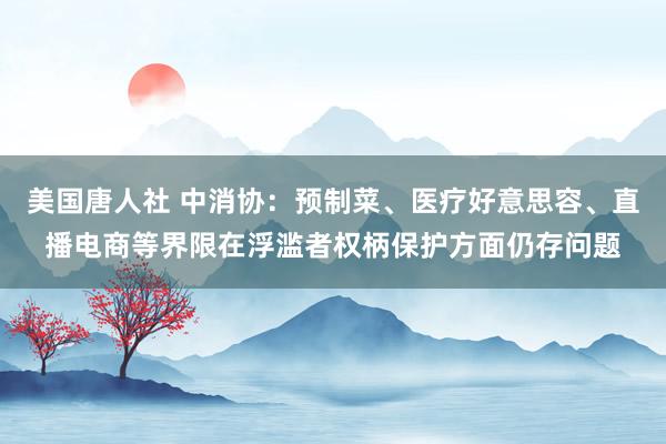美国唐人社 中消协：预制菜、医疗好意思容、直播电商等界限在浮滥者权柄保护方面仍存问题