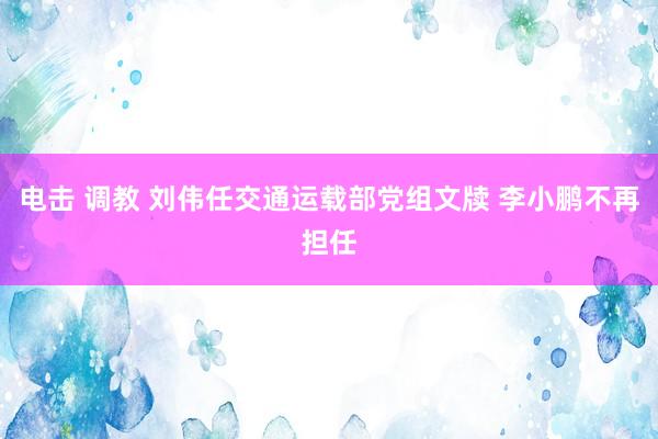 电击 调教 刘伟任交通运载部党组文牍 李小鹏不再担任