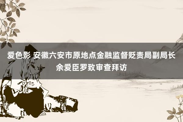 爱色影 安徽六安市原地点金融监督贬责局副局长余爱臣罗致审查拜访