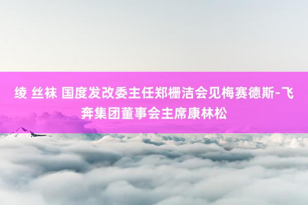 绫 丝袜 国度发改委主任郑栅洁会见梅赛德斯-飞奔集团董事会主席康林松