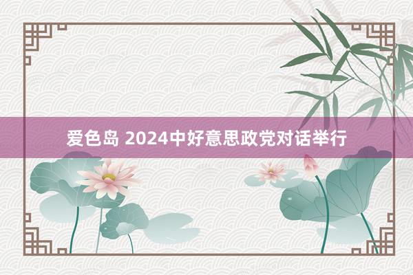 爱色岛 2024中好意思政党对话举行