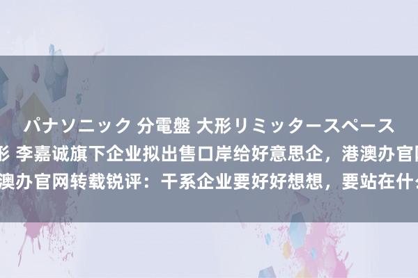 パナソニック 分電盤 大形リミッタースペース付 露出・半埋込両用形 李嘉诚旗下企业拟出售口岸给好意思企，港澳办官网转载锐评：干系企业要好好想想，要站在什么态度、站在哪一边！