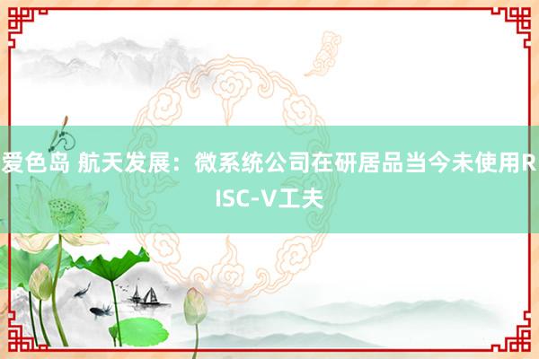 爱色岛 航天发展：微系统公司在研居品当今未使用RISC-V工夫