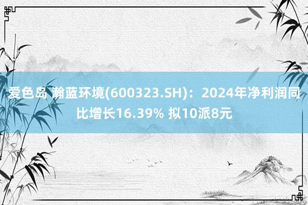 爱色岛 瀚蓝环境(600323.SH)：2024年净利润同比增长16.39% 拟10派8元