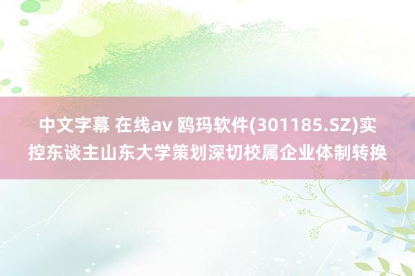 中文字幕 在线av 鸥玛软件(301185.SZ)实控东谈主山东大学策划深切校属企业体制转换